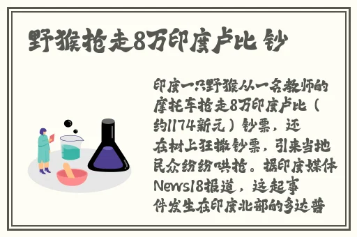 猫咪在线永久网站在线播放
