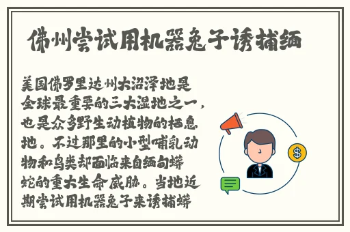 精品国精品国产自在久国产